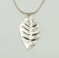 Silver beech leaf
